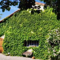 Haus zu verkaufen in Frankreich - Garage Wein gro.jpg